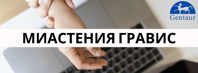Миастения гравис