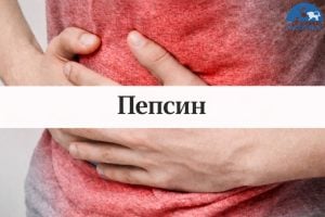 Пепсин – какво представлява и къде се среща?